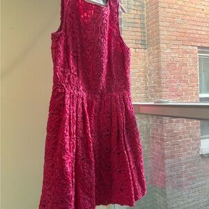 Cynthia Steffe Vibrant Pink Dress